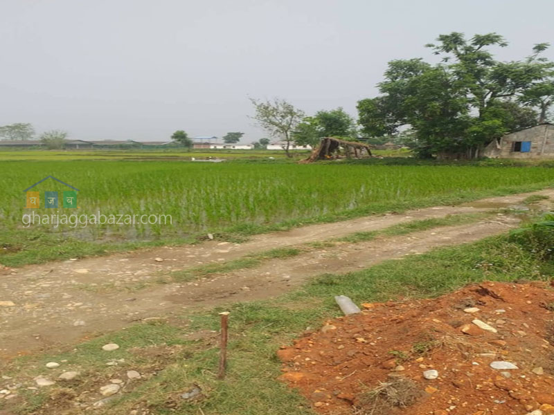Land for Agriculture at Parsa